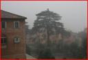 heavy-rain-in-rome.jpg