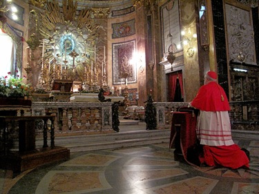 StaMdV-Cardinal In Prayer