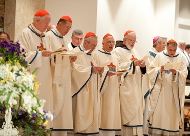 Cardinals Dinner Mass at St. Bernard of Clairvaux Catholic Church in Scottsdale, Arizona

 Ed Pfueller

Cardinals_Mass_132.JPG

Mass