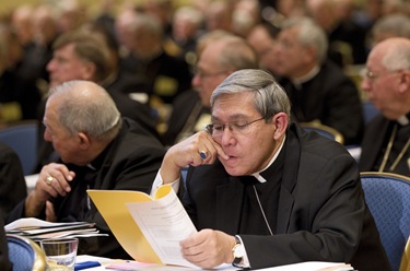 U.S. BISHOPS MEETING