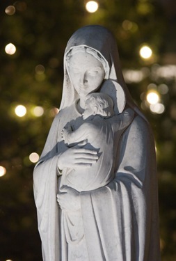 Cardinal's 2011 Christmas Card. Photo by Gregory L. Tracy, The Pilot