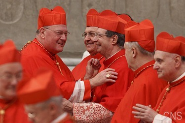 CARDINALS-CONSISTORY