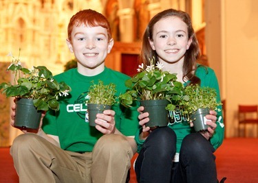 St. Patrick's Day Mass 2012, Cathedral of the Holy Cross. Pilot photo by Gregory L. Tracy