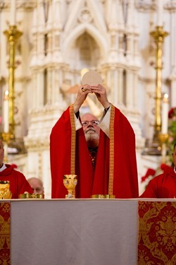 Members of the new ecclesial movement and realities celebrate the Pentecost Vigil with Cardinal Sean P. O’Malley at the Cathedral of Holy Cross May 26, 2012. Pilot photo/ Gregory L. Tracy