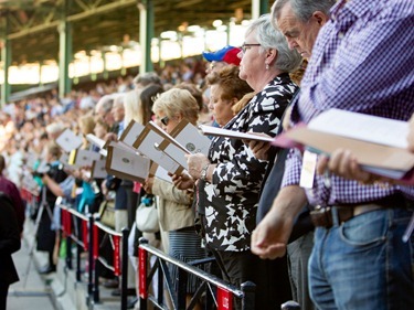 Mass at Fenway Park to mark the 150th anniversary of Boston College and Boston College High School Sept. 15, 2012. Pilot photo/ Gregory L. Tracy