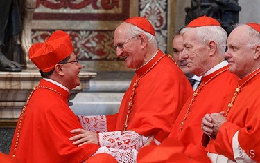 CARDINALS-CONSISTORY