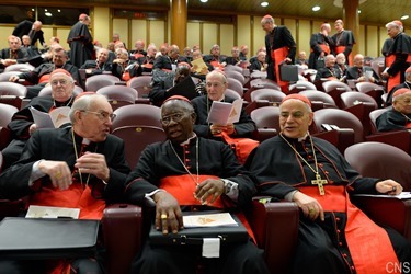 CARDINALS-MEETING