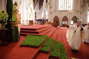 Cardinal Seán P. O'Malley celebrates Mass for the Feast of St. Patrick at the Cathedral of the Holy Cross March 17, 2014. 
Pilot photo/ Gregory L. Tracy