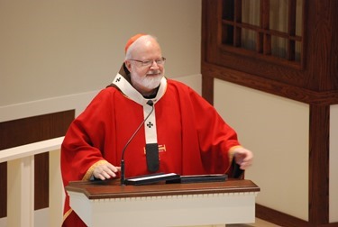 21040829 D80 Cardinal Mass 150