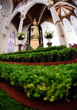 St. Patrick’s Day Mass celebrated at the Cathedral of the Holy Cross March 17, 2015 by Bishop Robert Hennessey.<br /><br />
Pilot photo/ Gregory L. Tracy<br /><br />
