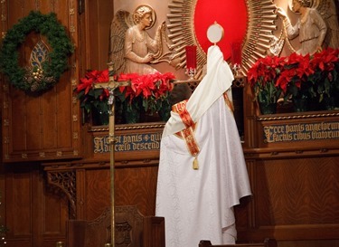 New Year's Eve Holy Hour and Mass celebrated by Cardinal Sean O'Malley at St. Clement's Eucharistic Shrine in Boston Dec. 31, 2015. Pilot photo/ Mark Labbe