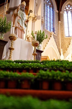 St. Patrick's Day Mass at the Cathedral of the Holy Cross, March 17, 2016. Pilot photo/ Gregory L. Tracy