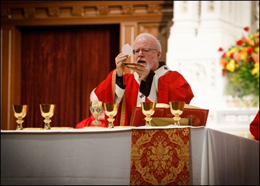 Pentecost Vigil at the Cathedral of the Holy Cross May 14, 2016. 
Pilot photo/ Gregory L. Tracy
