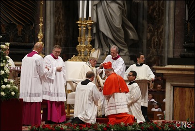 CARDINALS-CONSISTORY