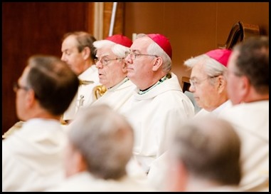 Cardinal Sean P. O'Malley celebrates the Mass for the Dedication of the Altar of the Chapel at Regina Cleri, Aug. 21, 2019.  The Mass marked the completion of a months-long renovation of the chapel.
Pilot photo/ Gregory L. Tracy 